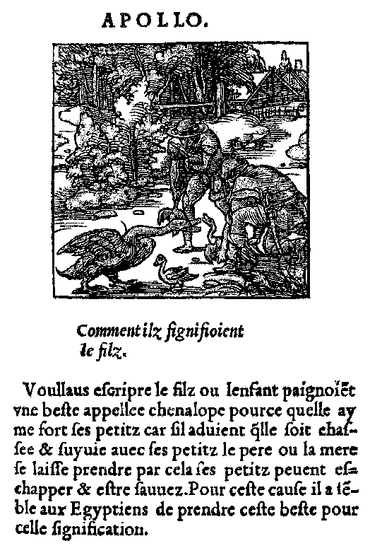 Orus : le fils